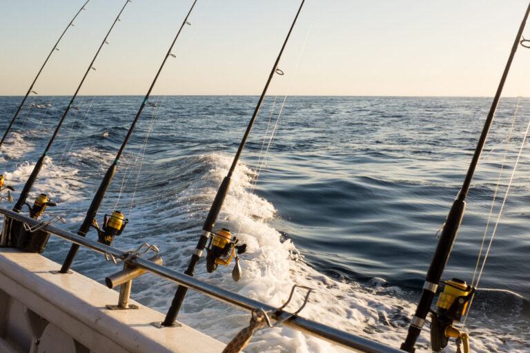 Sport fishing boat on open Pacific water